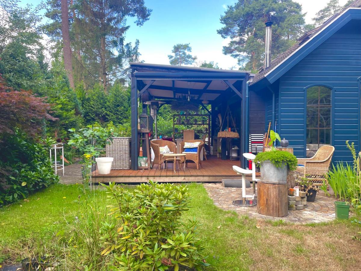 Blue Artist Veluwe Doornspijk