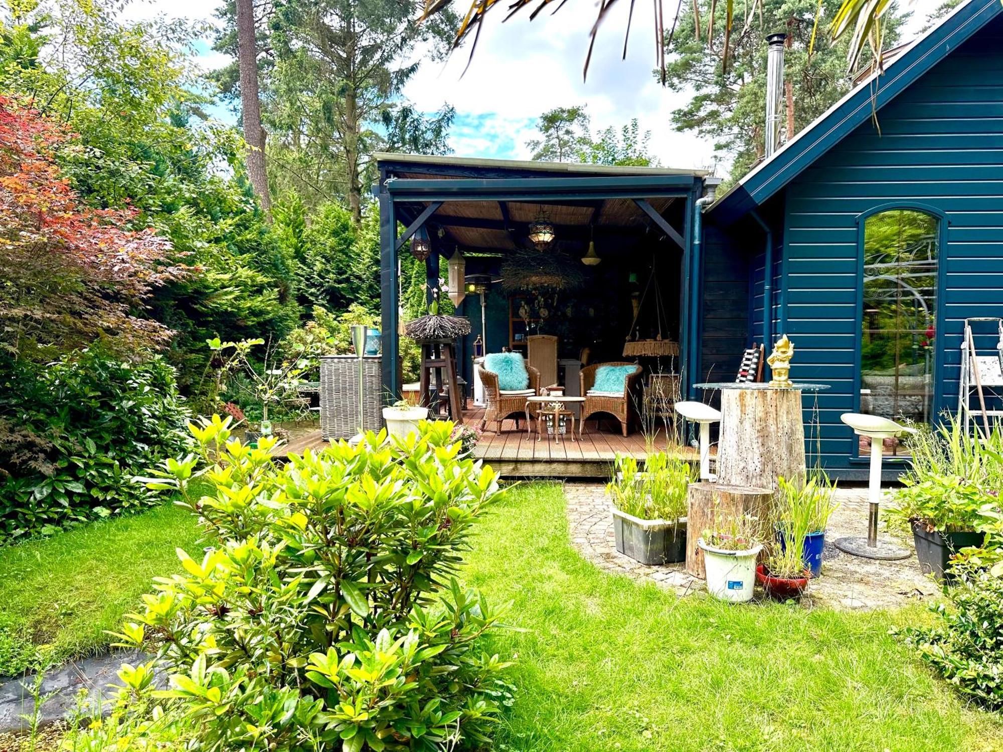 Chalet Blue Artist Veluwe