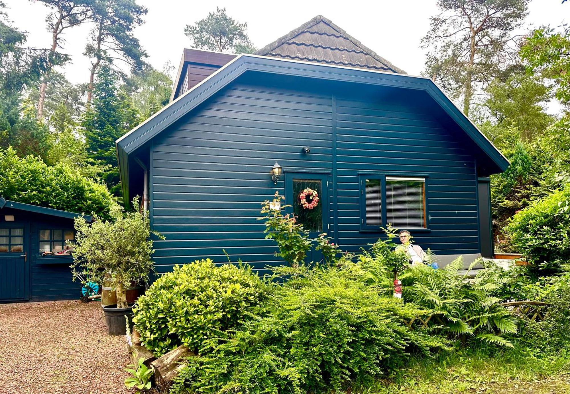 Blue Artist Veluwe Chalet Doornspijk