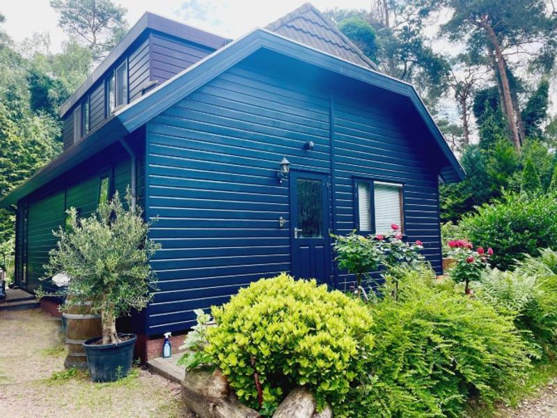Blue Artist Veluwe Doornspijk